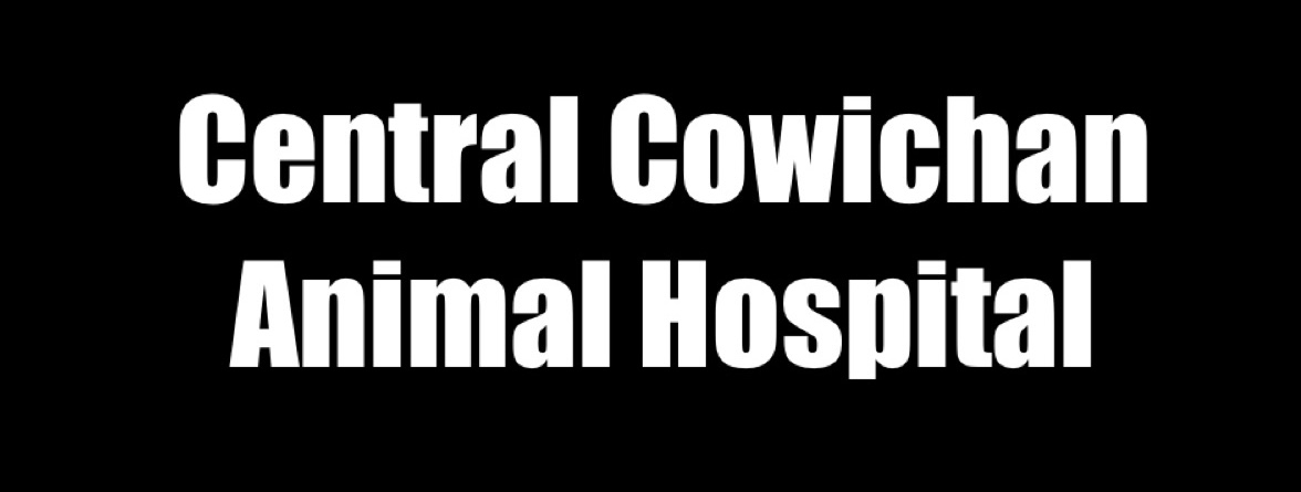Central Cowichan Animal Hospital