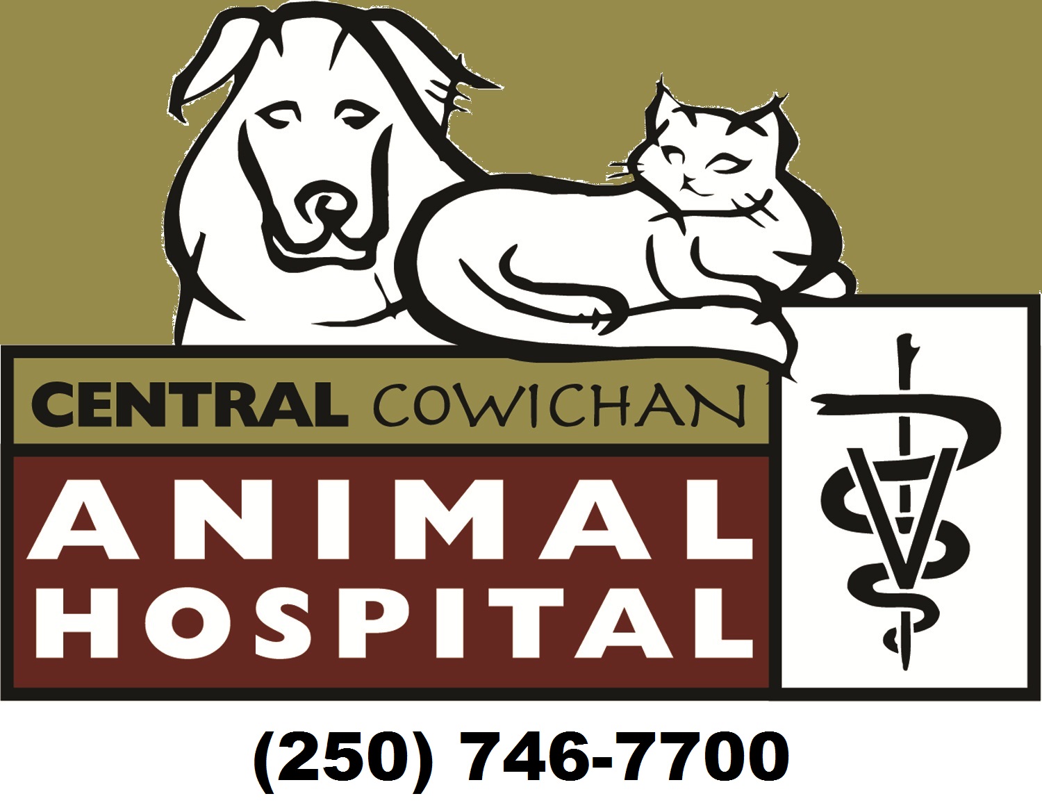 Central Cowichan Animal Hospital Logo